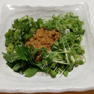 ヘルシー♪グリーン野菜サラダふう納豆